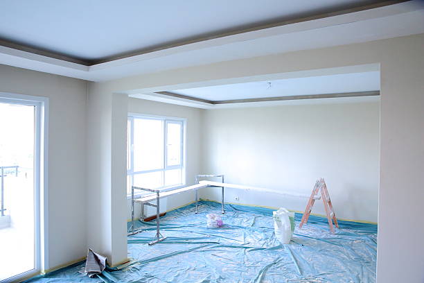 Best Repainting for Renovations  in Murfreesboro, TN